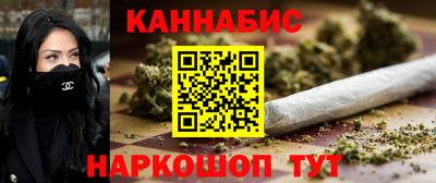 индика Будённовск