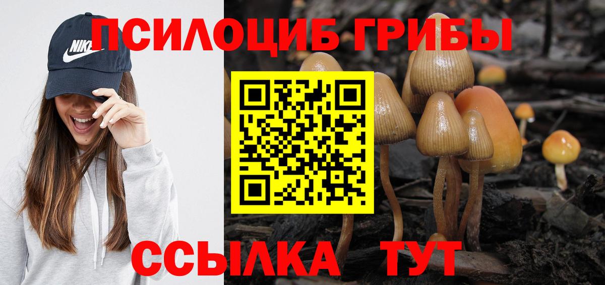 Псилоцибиновые грибы прущие грибы  Вход с VPN  Краснодар 