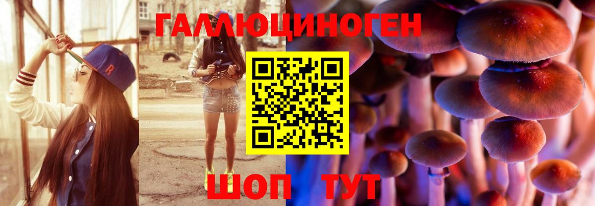 Псилоцибиновые грибы ЛСД Краснодар
